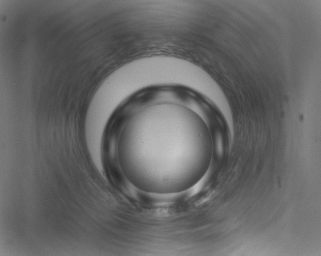 X0000051900276200506241422