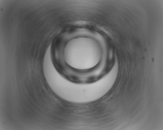 X0000051900280200506241422