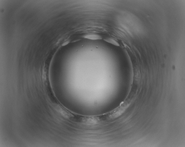 X0000051900282200506241422