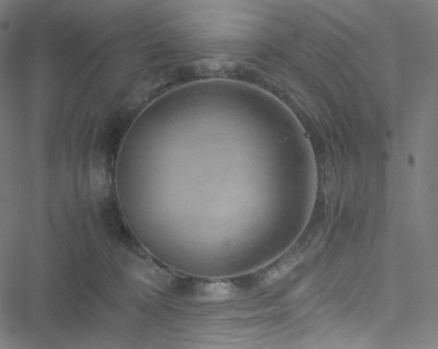 X0000051900324200506241420