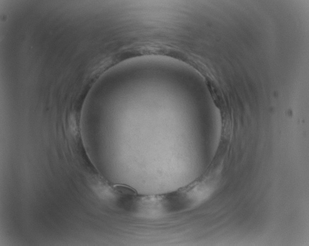 X0000051900335200506241420