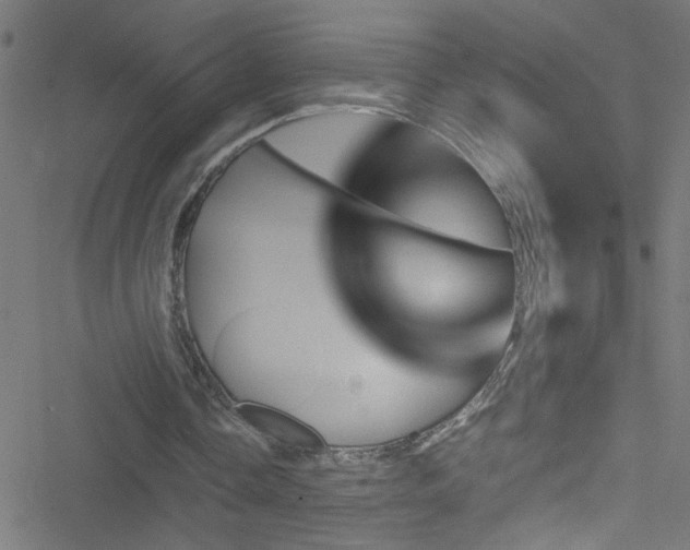 X0000051900338200506241419