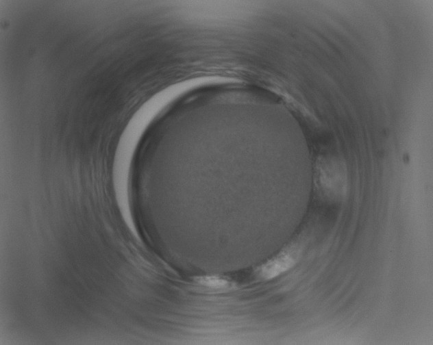 X0000051900380200506241420