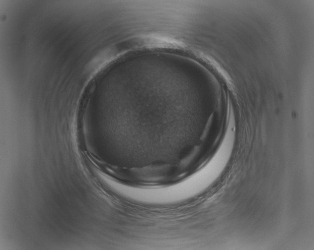 X0000051900391200506241419
