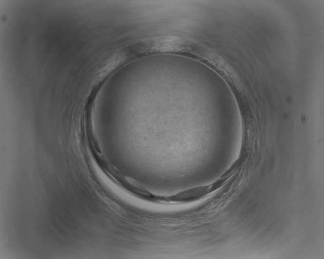 X0000051900393200506241419