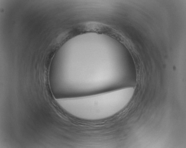 X0000051900413200506241419