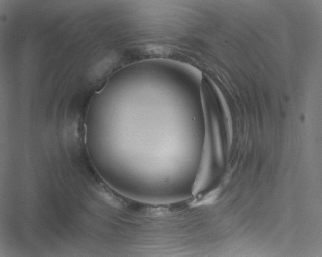 X0000051900424200506241419