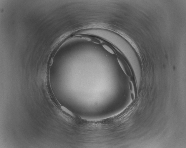 X0000051900437200506241418