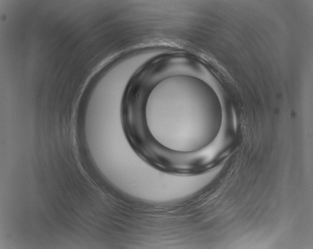 X0000051900440200506241418