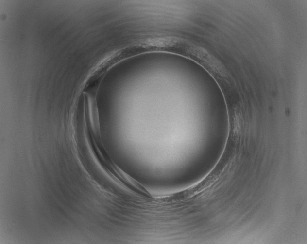 X0000051900444200506241418