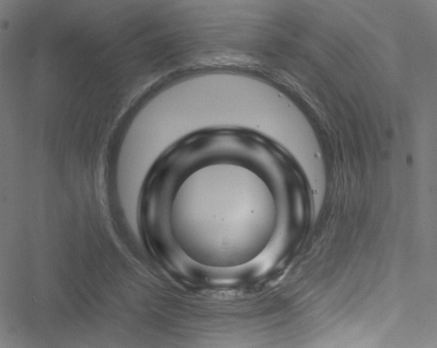 X0000051900448200506241418