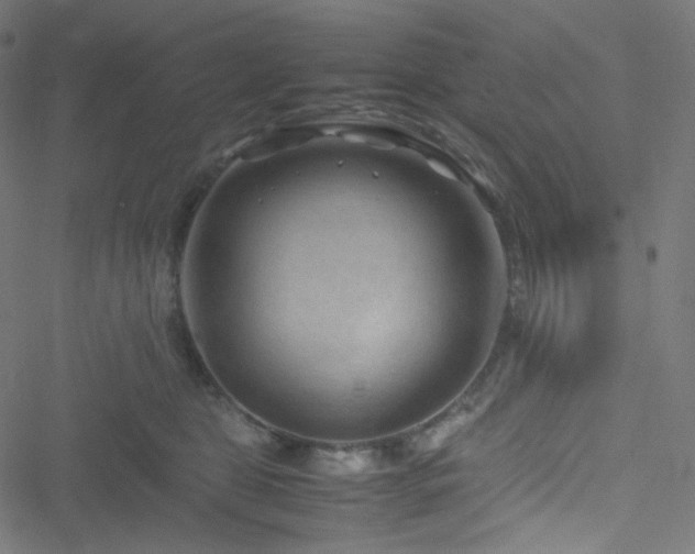 X0000051900469200506241418