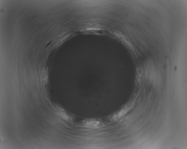 X0000051900471200506241418