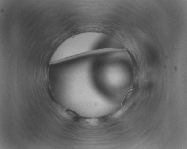 X0000051900478200506241419