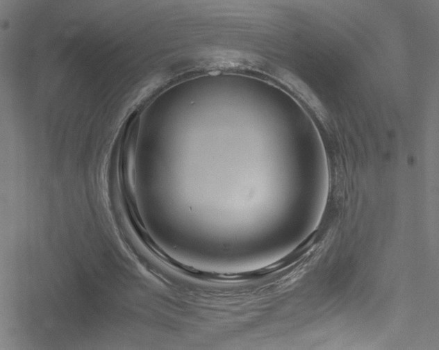 X0000051900485200506241418
