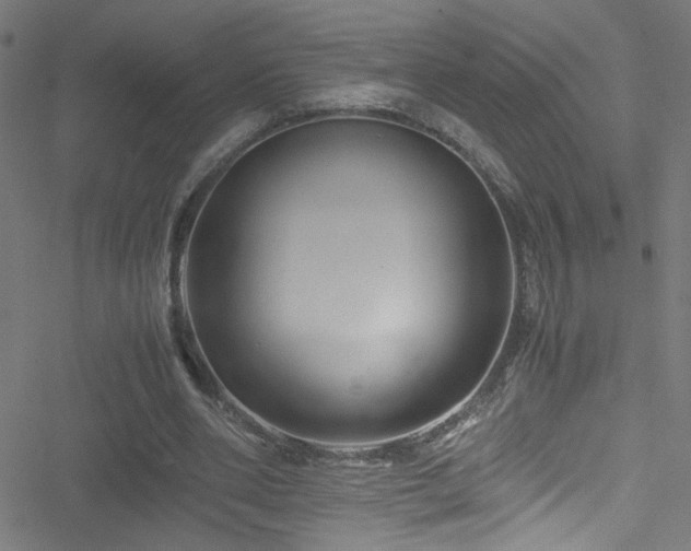 X0000051900486200506241418