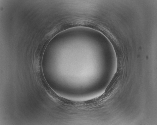 X0000051900489200506241418