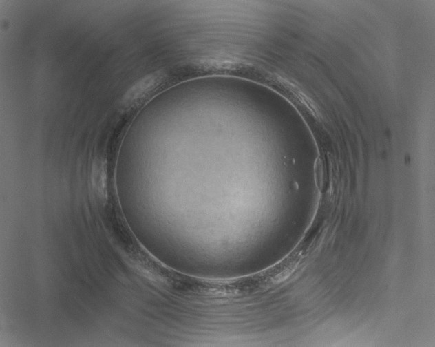 X0000051900494200506241418