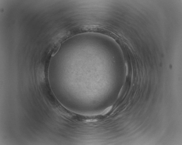 X0000051900508200506241417