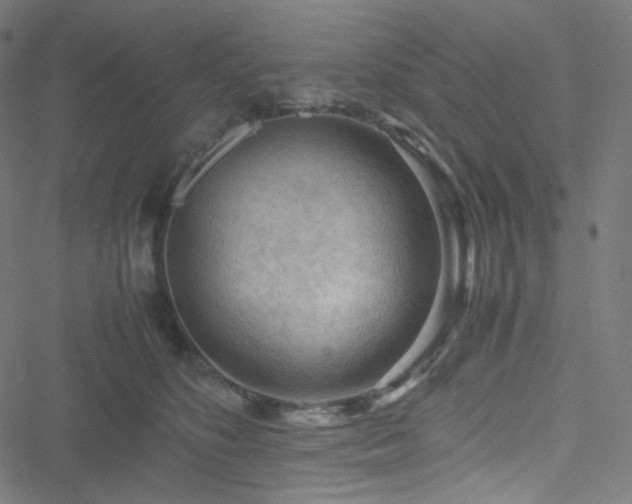X0000051900516200506241417