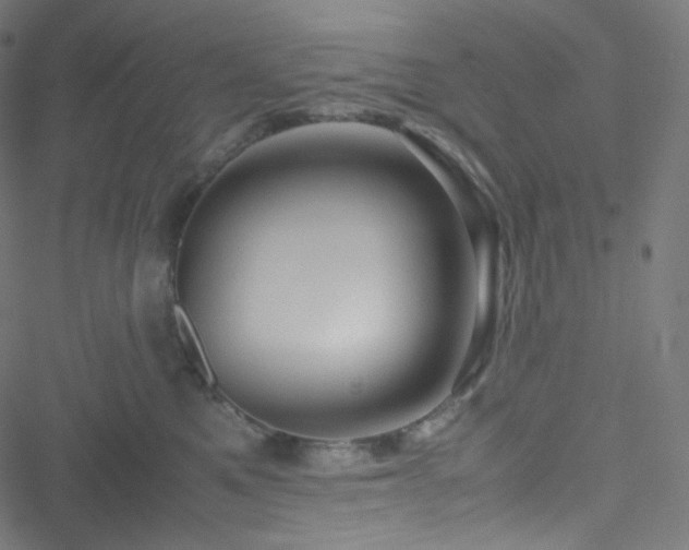 X0000051900521200506241417