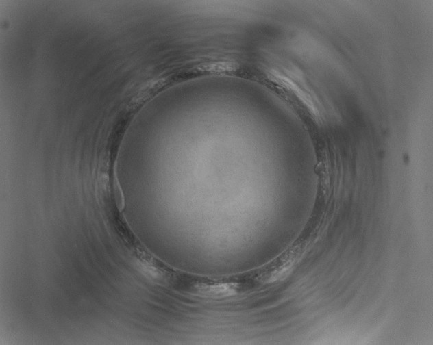 X0000051900553200506241417