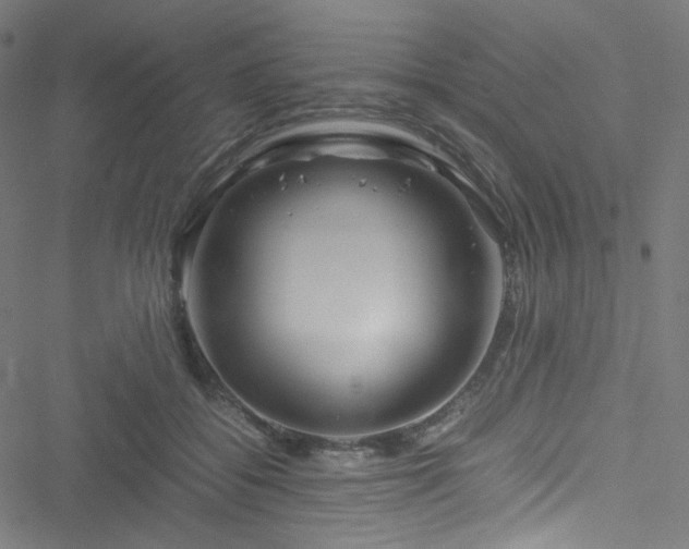 X0000051900556200506241417