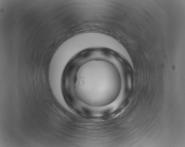 X0000051900562200506241417