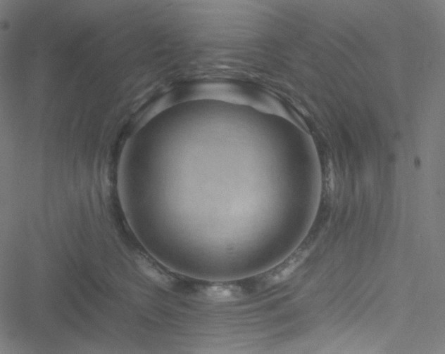 X0000051900566200506241417