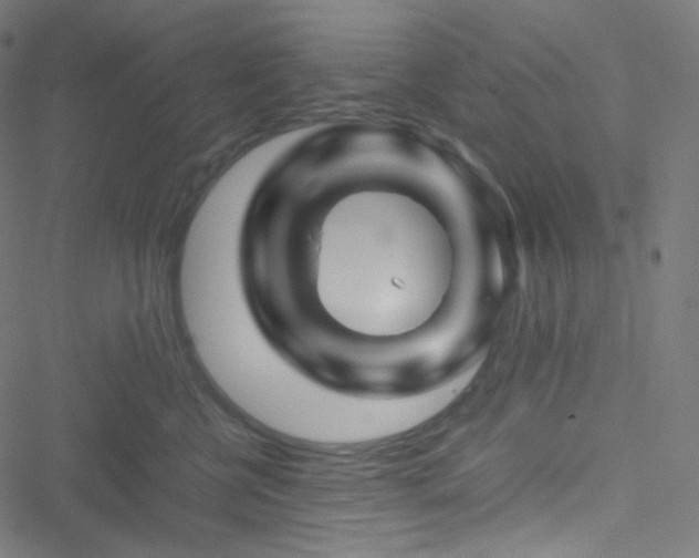 X0000051900570200506241417