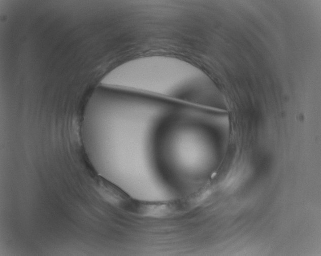 X0000051900575200506241417