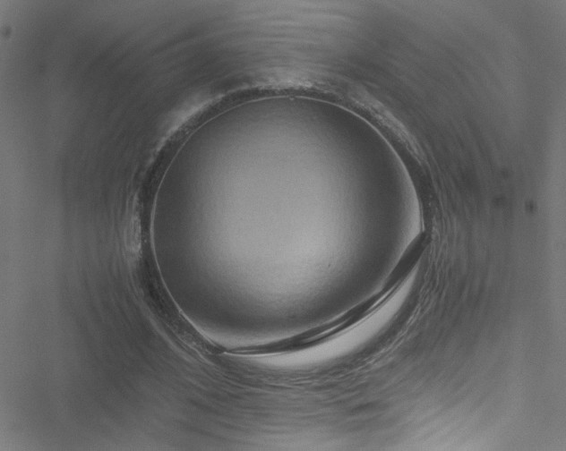 X0000051900584200506241416