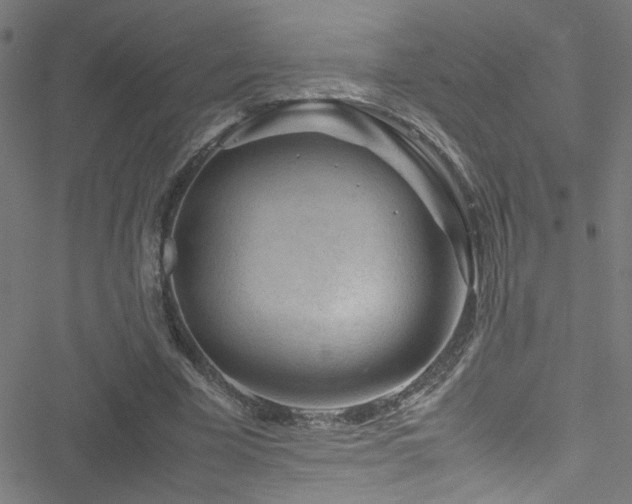 X0000051900585200506241416