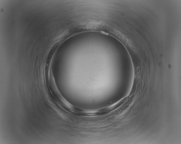 X0000051900589200506241416
