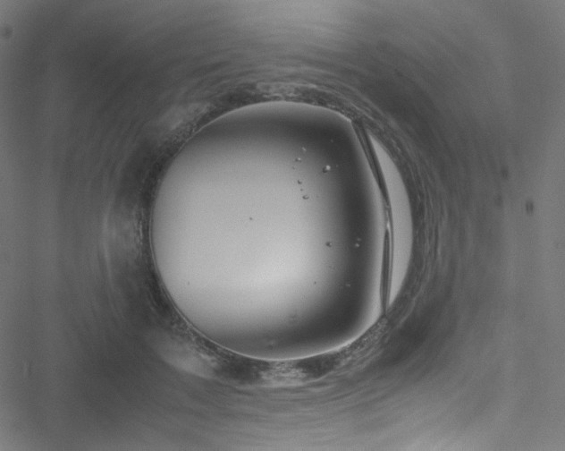 X0000051900603200506241416