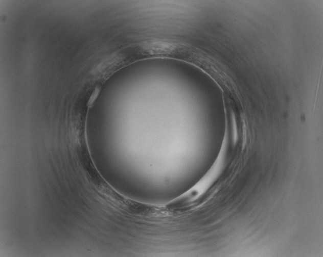 X0000051900604200506241416