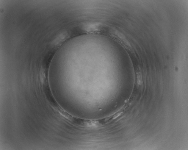 X0000051900618200506241416