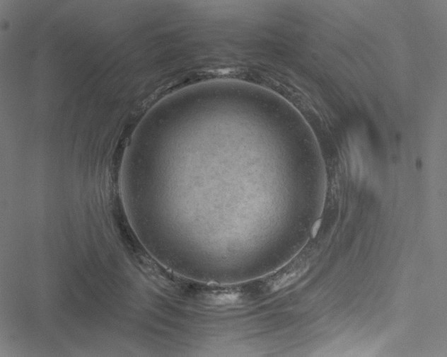 X0000051900651200506241415