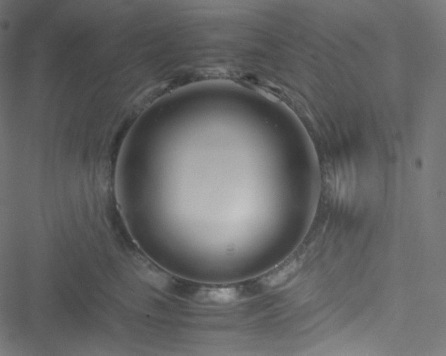 X0000051900665200506241415