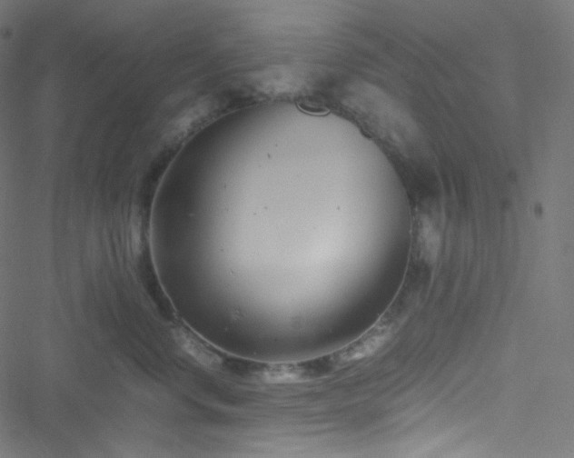 X0000051900668200506241415