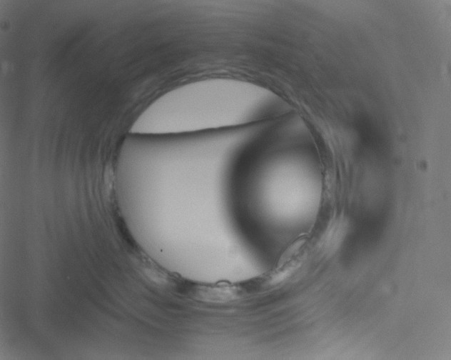 X0000051900671200506241415