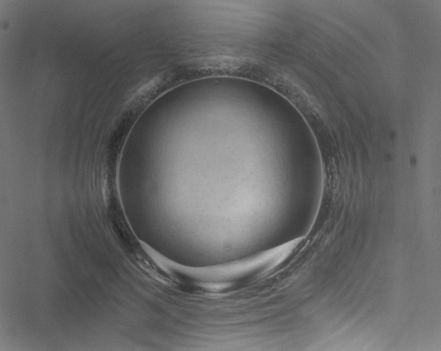 X0000051900692200506241414