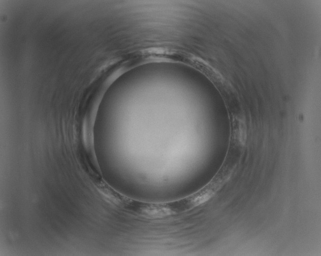 X0000051900712200506241414