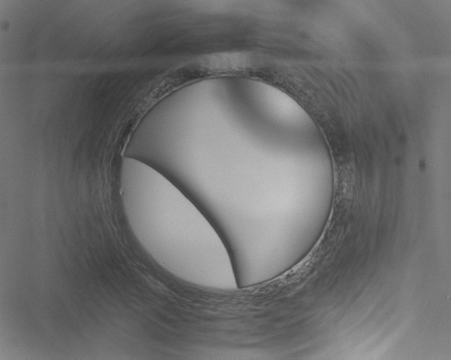 X0000051900737200506241413