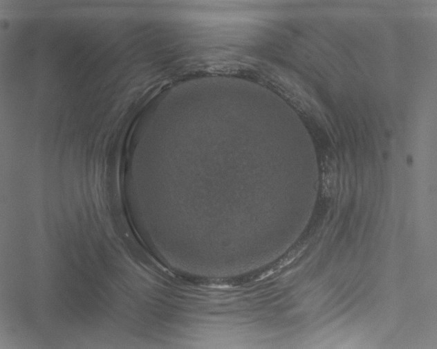 X0000051900748200506241414