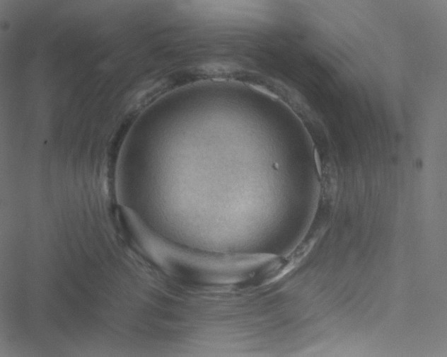 X0000051900762200506241414