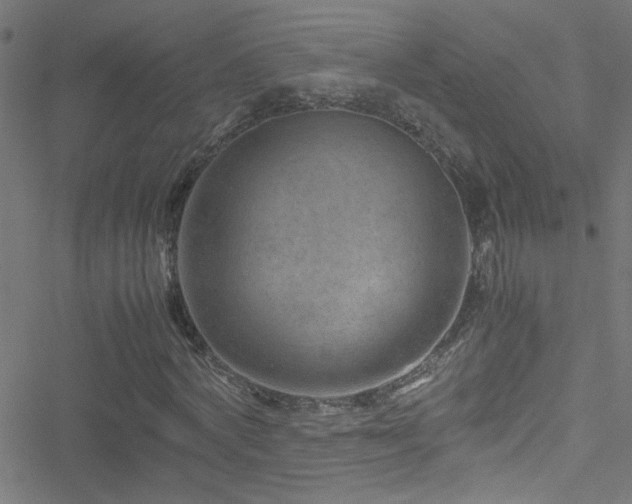 X0000051900772200506241413