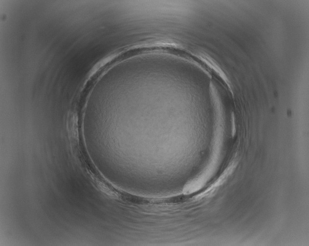 X0000051900781200506241413