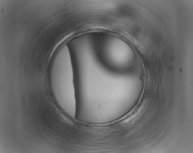 X0000051900782200506241413