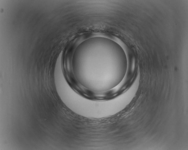 X0000051900818200506241412